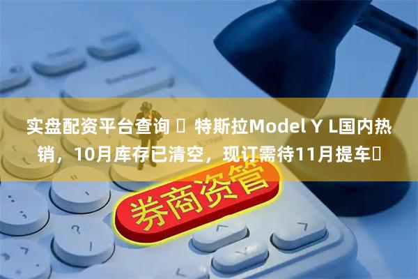 实盘配资平台查询 ​特斯拉Model Y L国内热销，10月库存已清空，现订需待11月提车​