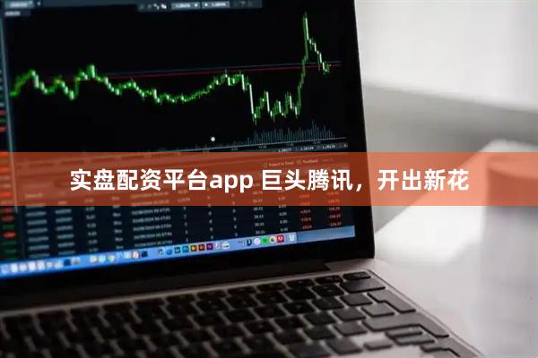 实盘配资平台app 巨头腾讯,开出新花